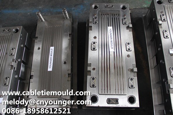 Push Mount Cable Ties Mould