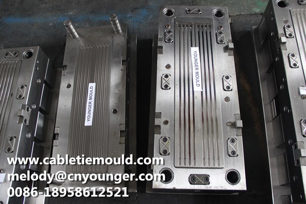 Cable Tie Mould Bolt Cable Ties