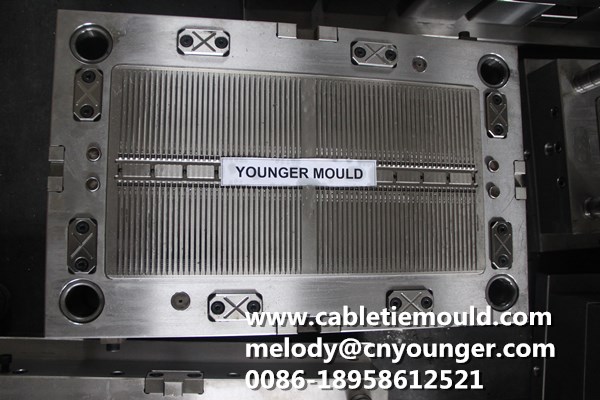 Push Mount Cable Ties Mould