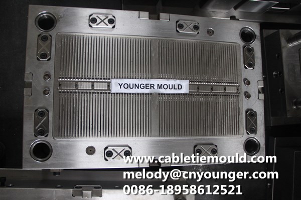PANEL ACCESS FASTENERS mould 