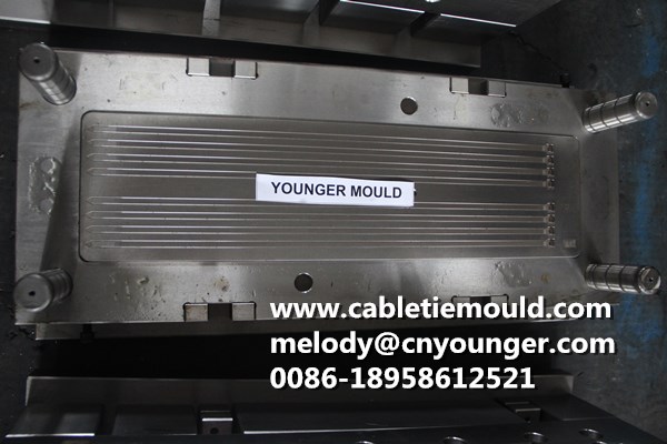 Lateral Toothed Cable Ties Mould