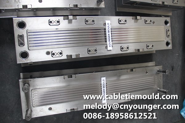 Cable Tie Mould Sheet Edge Buckle