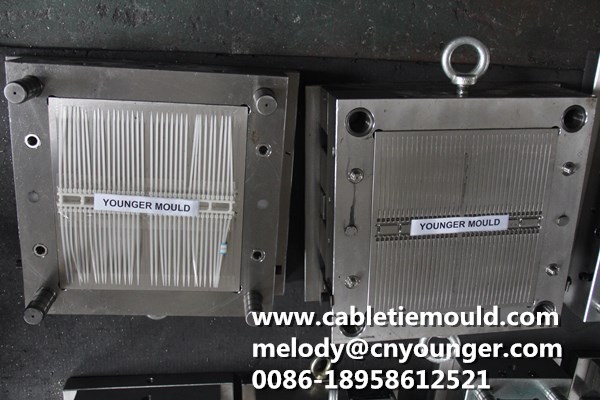Sheet Edge Buckle Cable Ties Moulds