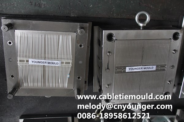 Lateral Toothed Cable Ties Mould