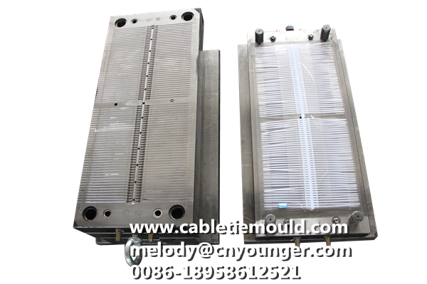 Lateral Toothed Cable Ties Mould