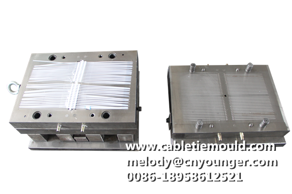 cable tie mould  double head cable ties mould