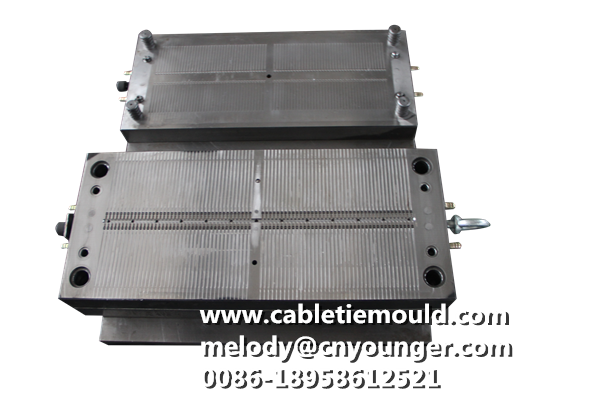 Push Lock Rivet Mould