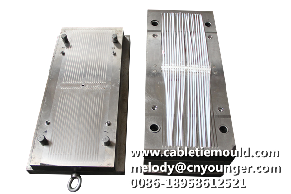 Aircraft Head Cable Ties Mould