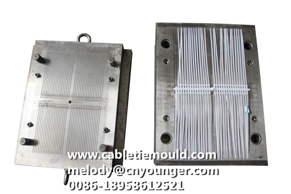 PANEL ACCESS FASTENERS Mould