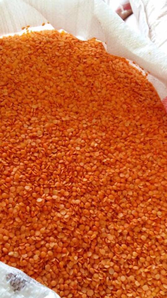 China Factory Price WEBEST Peeling Bean