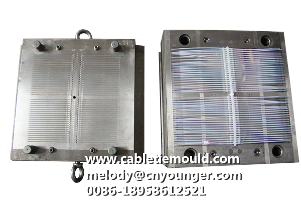 Reusable Cable Tie Mould