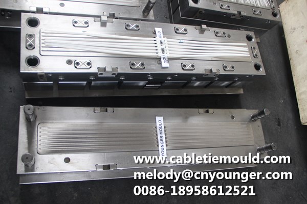 PANEL ACCESS FASTENERS Mould