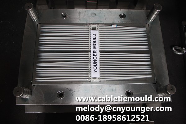 Rail Transportation Special Cable Ties Mould