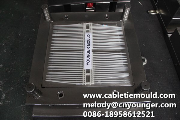 Cable Tie Mould Self Locking Cable