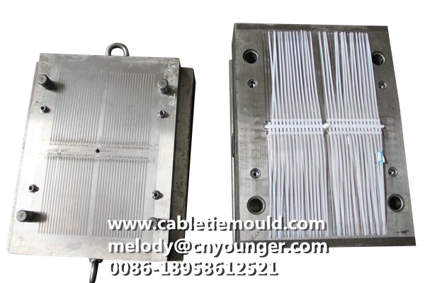 Rail Transportation Special Cable Ties Mould