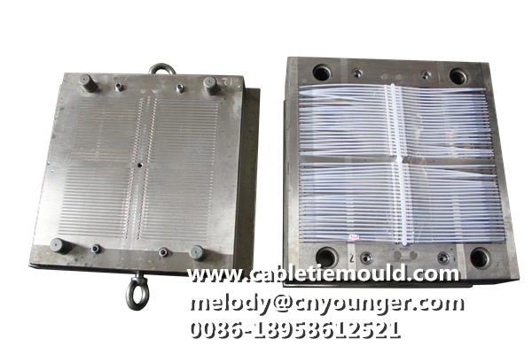 Rail Transportation Special Cable Ties Mould