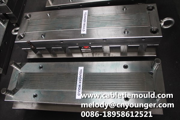 Double Head Cable Ties Mould