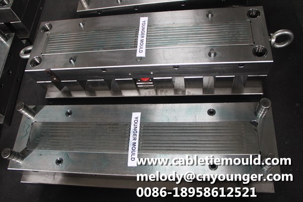 rail transportation special cable ties mould