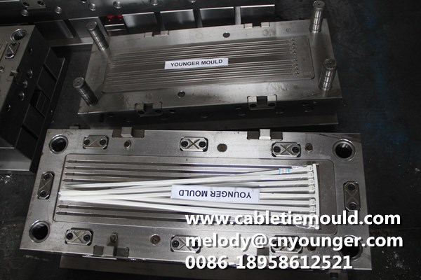 Double Head Cable Ties Mould