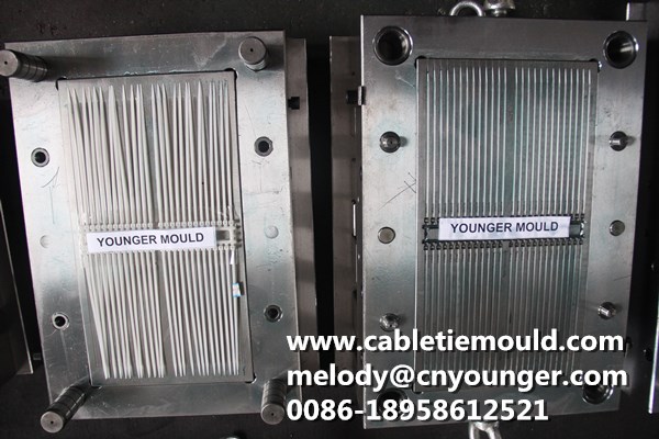 Double Head Cable Ties Mould
