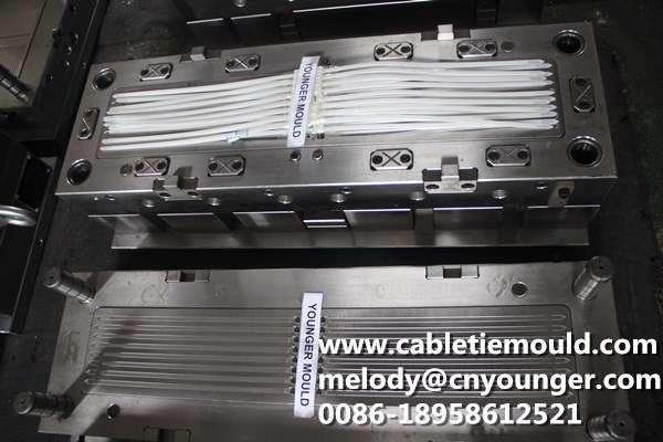 Double Head Cable Ties Mould