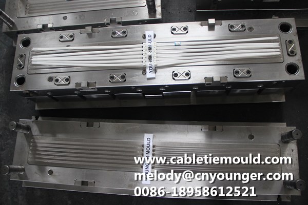 Double Head Cable Ties Mould