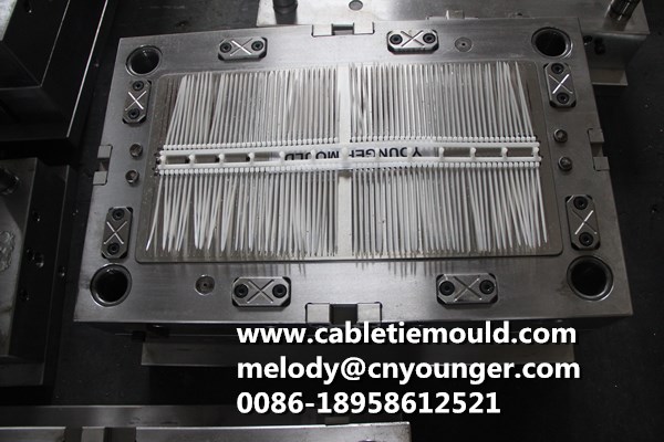 double head cable ties mould