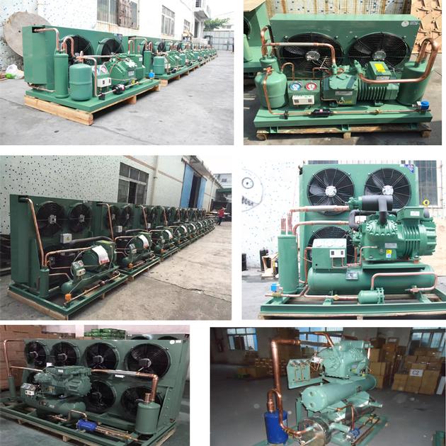 Condensing Unit With Bitzer Compressor