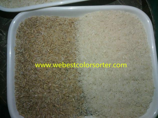 China Manufacturer WEBEST Rice Color Sorter