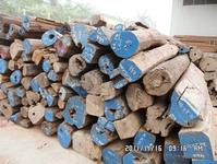 Annatto logs
