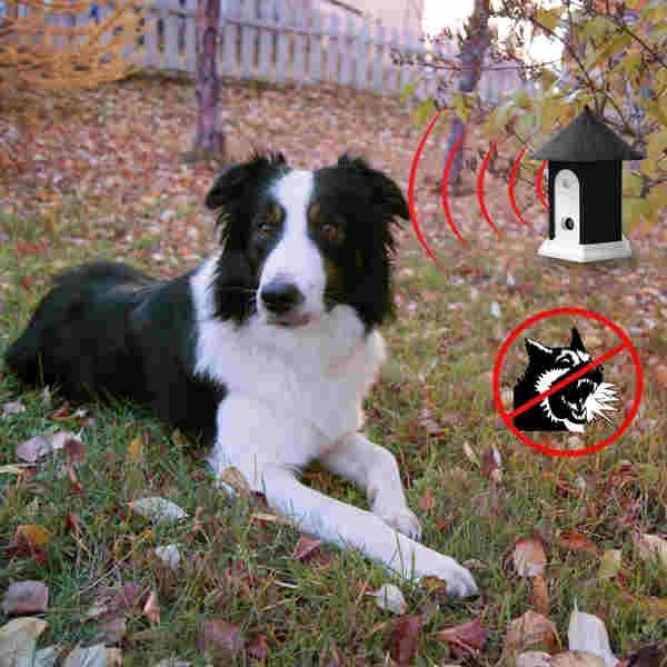 Outdoor 3 Feet Safe And Effective