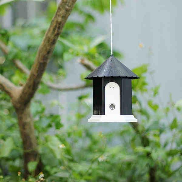 2017 Top Rated Outdoor Portable Ultrasonic