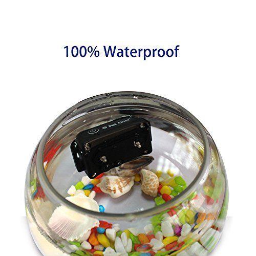 No Shock Petrainer Completely Waterproof And