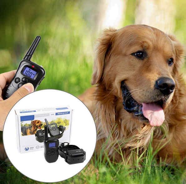 2017 hot sale Pet trainer eco-friendly feature and pet collars & leashes type remote control dog tra