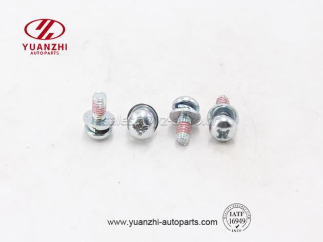 Cross Recessed Pan Head Screws, Plain and Spring Washers Assemblies Supplier