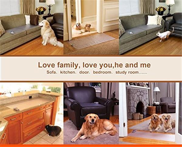 Dog And Cat Training Mat Indoor