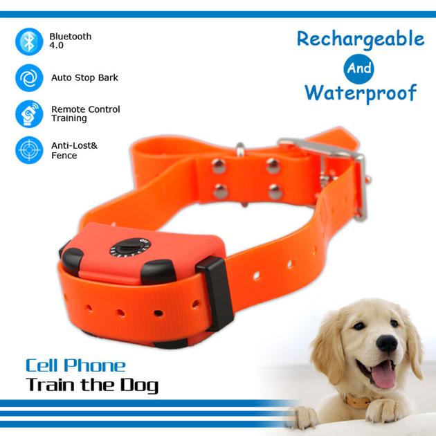 Petrainer Waterproof And Rechargeable Bluetooth Dog