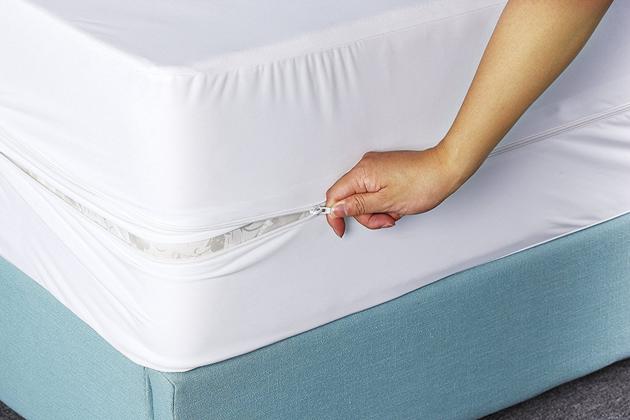 Waterproof Anti Bed Bug Terry Mattress Encasements (Mattress Covers with Zipper)