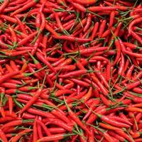 Fresh Capsicum frutescens