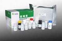 chloroamphenicol    