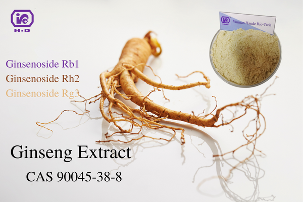 Ginseng Extract Ginsenosides 80% HPLC/UV CAS 90045-38-8