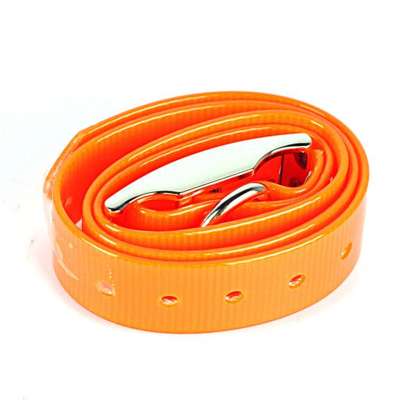 X-800 5000 square meters range electronic pet fence system