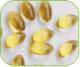 Sell Dextrose (anhydrous and monohydrate)