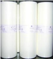 Riso CZ/CV Duplicator Master *A4/B4