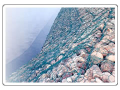 Hexagonal Wire Mesh