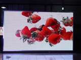 Indoor Single Color LED Display Screen