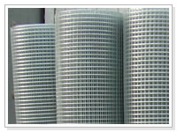 sell welded wire mesh