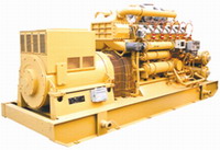 Biogas Generator