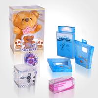 Plastic Packaging Gift Box