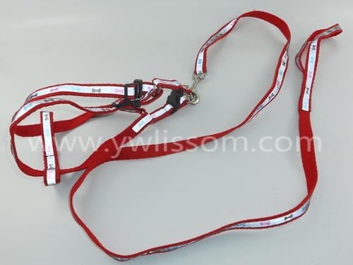 PET Rope